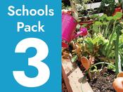 School Vegetable Garden Pack 3