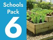 School Vegetable Garden Pack 6