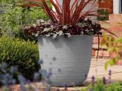 Sahara Planter 53 cm image