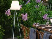 Rosalind Indoor &amp; Outdoor Mood Light image