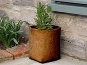 Hemp Fibre Pots image