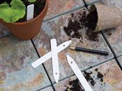 White Plant Labels - 50 Pack image