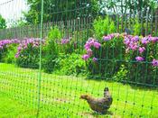 Enclosure With Chicken Netting - 50 m image