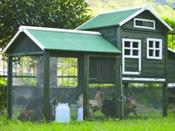 Chicken Coop With Nest Box And Run