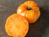 Beefsteak Tomato 'Yellow Brandywine'