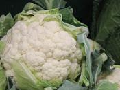 Cauliflowers 'All Year Round' image