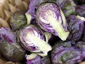 Brussels Sprout 'Redarling F1'