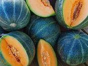 Melon 'Petit Gris de Rennes'