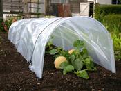 Easy Poly Tunnel Cloche