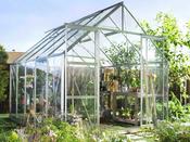 Halls 'Magnum' Greenhouse With Base - 8 ft x 10 ft image