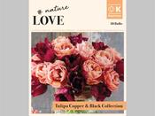 Copper &amp; Black Tulip Bouquet Collection - 30 Bulbs image