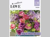 Tulip &amp; Allium Bouquet Collection - 30 Bulbs image