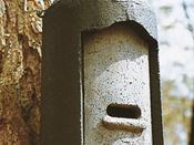 Schwegler Bat Box 2F (With Double Front Panel)