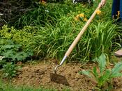 Kent &amp; Stowe Draw Hoe (Long Handled) image