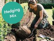 Hedging Mix 750 L