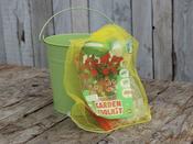 Kids Garden Tool Kit image