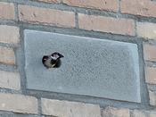 Built-in Swift Nest Box - IB GZ 03