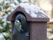 Nest Box NKBI2 (Entrance 28 mm) image