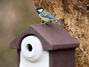 Nest Box - NKSE2 (Entrance 28 mm) image