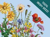 Native Irish Grown Wildflowers - Flowering Lawn