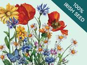 Native Irish Grown Wildflowers - Cornfield Annuals image