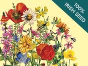 Native Irish Grown Wildflowers - Traditional Irish Meadow