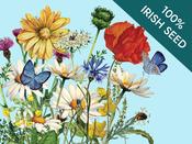 Native Irish Grown Wildflowers - Medium Height Meadow