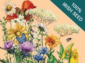 Native Irish Grown Wildflowers - Tall Flowering Meadow