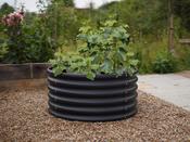 Vegtub Round Modular Bed