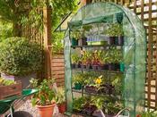 Premium 4-tier Extra Wide Growhouse Cover