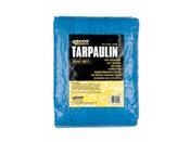 CORE Polythene Tarpaulin 3.7 m x 5.5 m image
