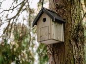 Garden Bird Nest Box image