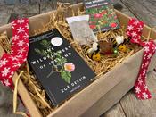 Wildflowers of Ireland Festive Hamper