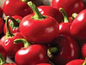 Sweet Pepper Dinero F1