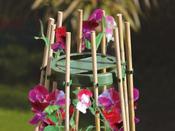 Grower's Choice Sweet Pea &amp; Bean Ring