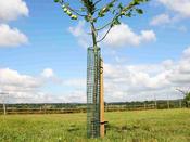 Haxnicks Flexi Mesh Treeguard