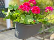 Balcony Hanging Container