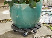Anthracite Plant Pot Trolley - 290 mm