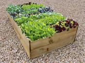 Allotment Raised Bed Kit - 35 cm H
