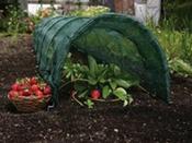 Easy Net Tunnels For Garden Plant Protection