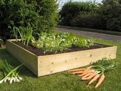 Square Allotment Raised Bed Kit - 120 cm x 120 cm