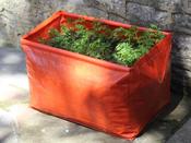 Carrot Patio Planter - 2 Pack image
