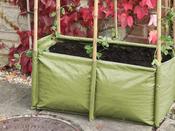 Pea and Bean Planter Growbag image