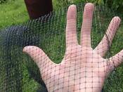 Butterfly and Bird Netting (7 mm Mesh) - 10 m x 2 m