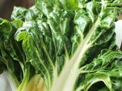 Chard 'Fordhook Giant'