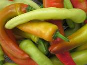 Pepper 'Agio'