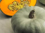 Squash 'Crown Prince F1'