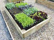 Premier Timber Raised Beds 22.5 cm H