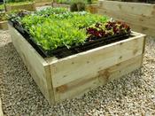 Premier Timber Raised Beds 35 cm H