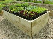 Premier Timber Raised Beds 53 cm H